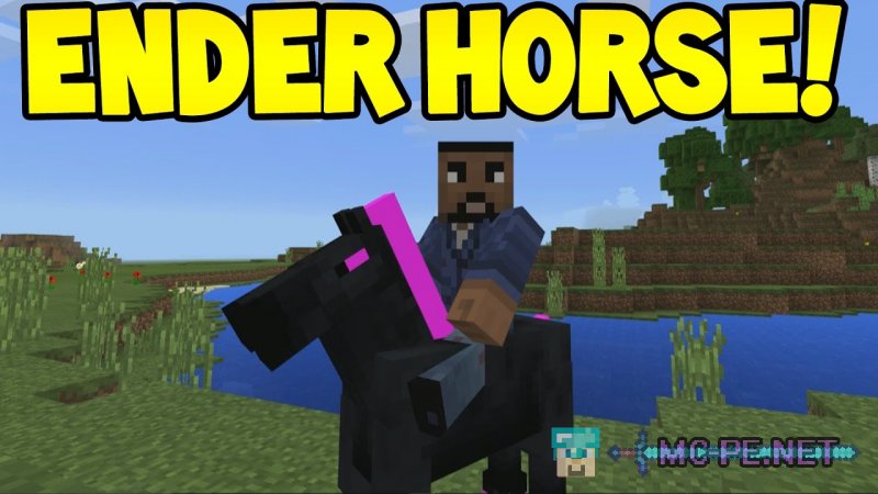 Ender Horse