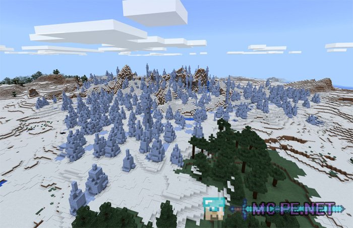Village, a needle and a ice spikes biome
