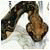cynthiapze