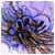 heathtera