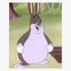 chungus
