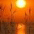 RubenTep