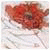 webtimlFax