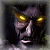 Jasonrax