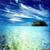 charlewebn