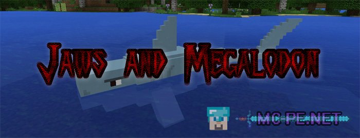 Jaws and Megalodon
