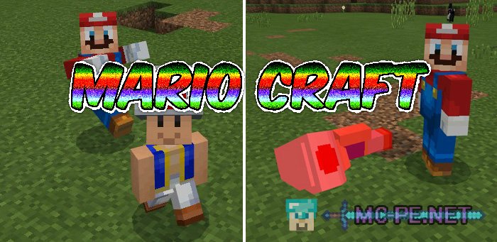 Mario Craft