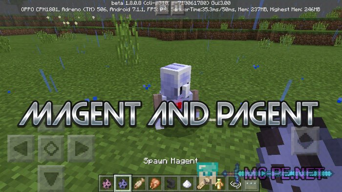 Magent And Pagent