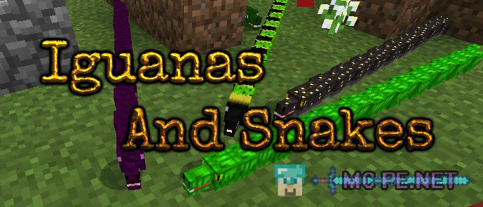 Iguanas And Snakes