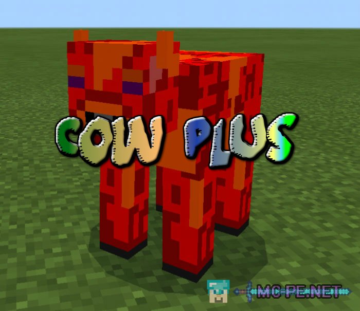 Cow Plus