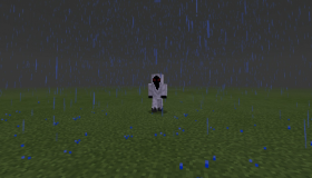 Entity303 (v1.12+ Only)